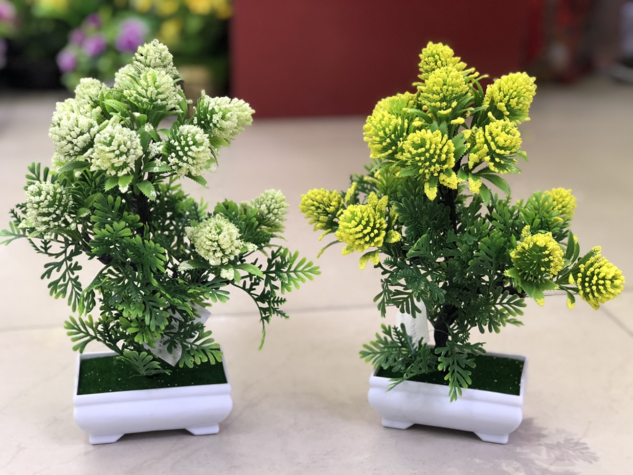 Potted plants bonsai bonsai potted decorations home decoration thumbnail