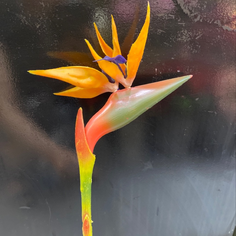 厂家直销 仿真花批发 吹塑天堂鸟 大小号天堂鸟 颜色可多选国潮