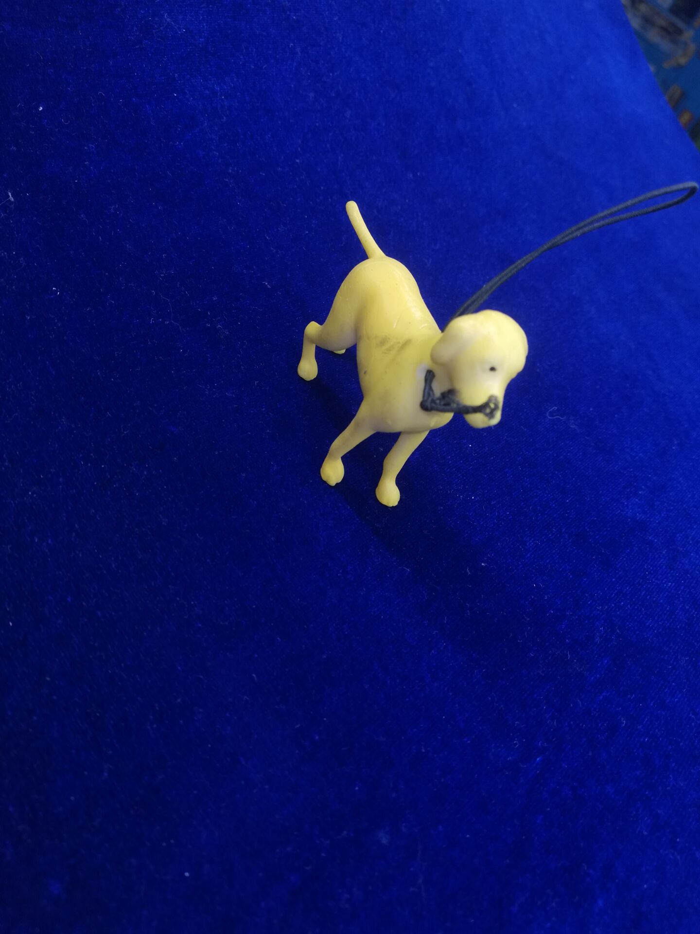 亚马逊新款模型玩具狗儿童卡通仿真动物整人玩具桌子摆件模型狗详情图9
