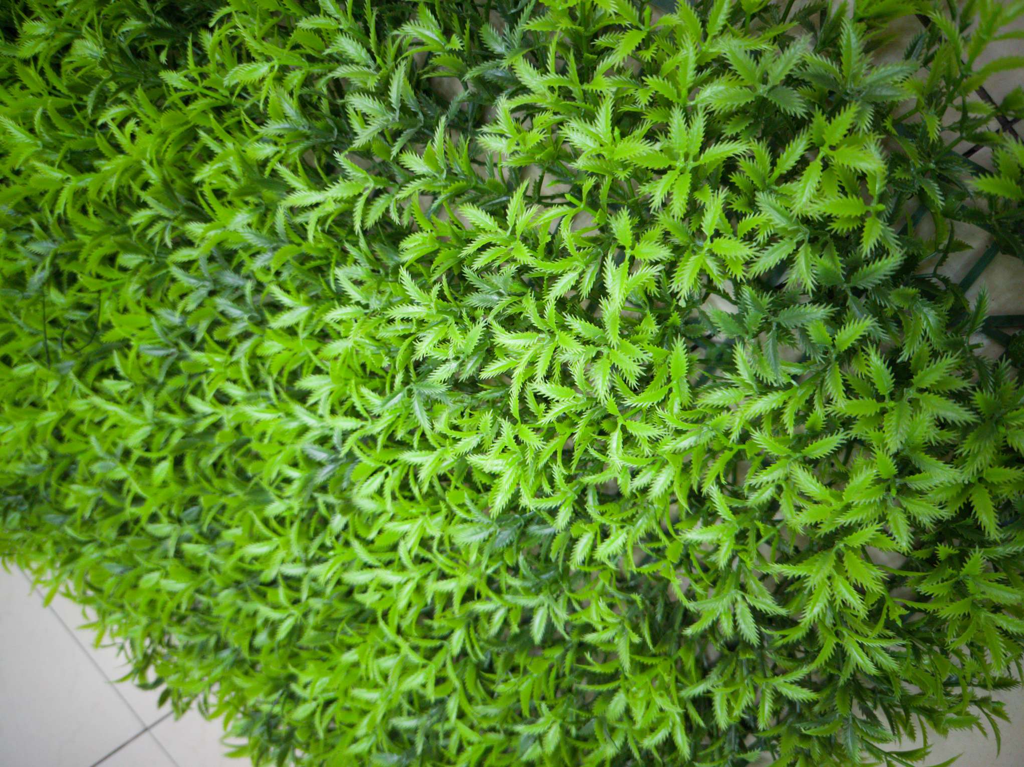 Artificial plant wall, green plant wall, plant wall, decorative wall, flower wall, background wall, interior decoration, balcony, storefront decoration, high-quality artificial grass THC undefined