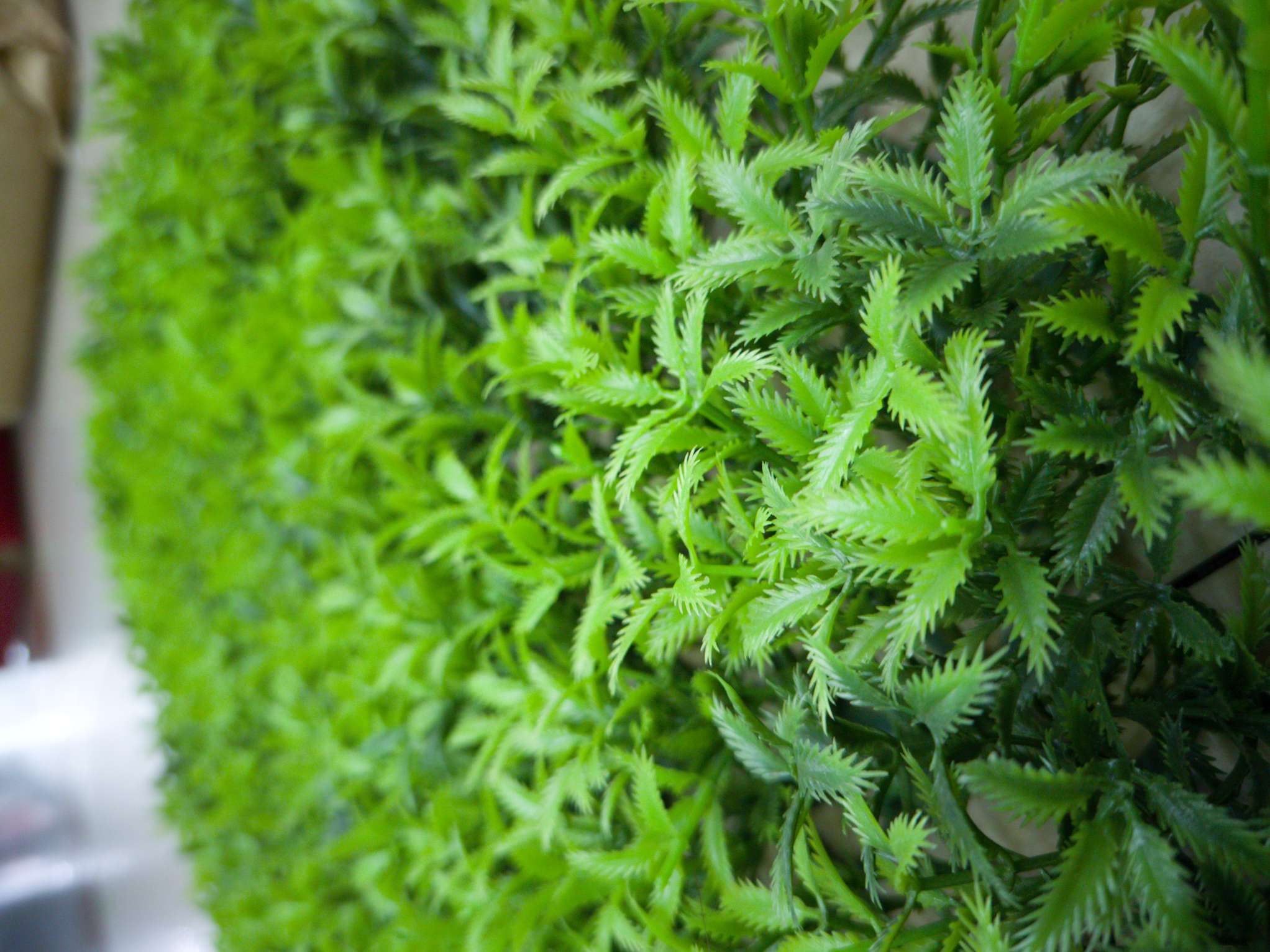 Artificial plant wall, green plant wall, plant wall, decorative wall, flower wall, background wall, interior decoration, balcony, storefront decoration, high-quality artificial grass THC details Picture
