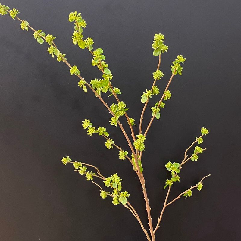 义乌好货仿真植物厂家直销小豆果枝家居装饰绿植客厅花艺配材产品图