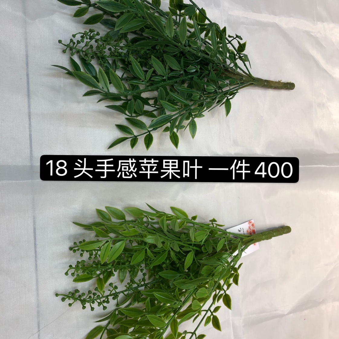 18 heads feel like apple leaves