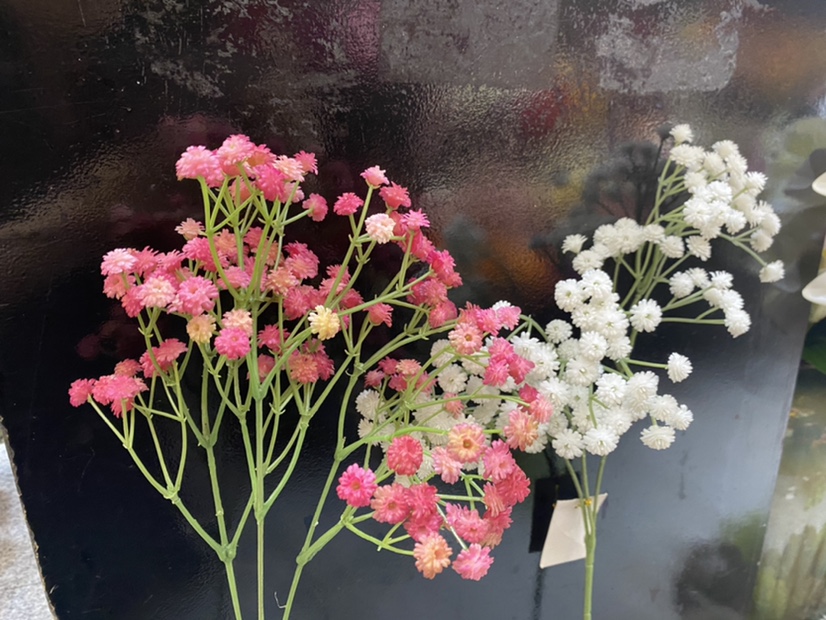 The feel is full of stars details Picture