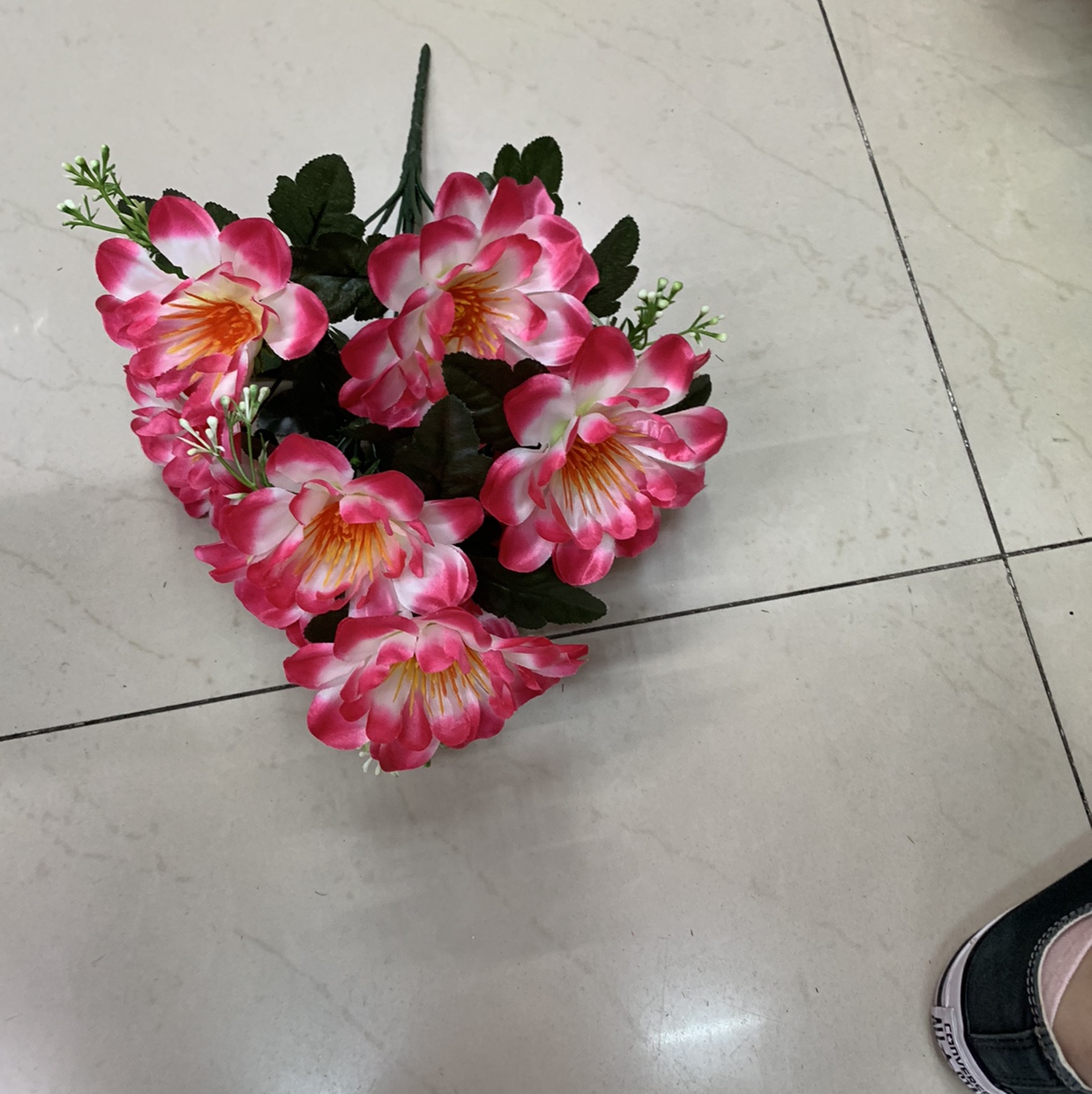 10头闪光小剑兰