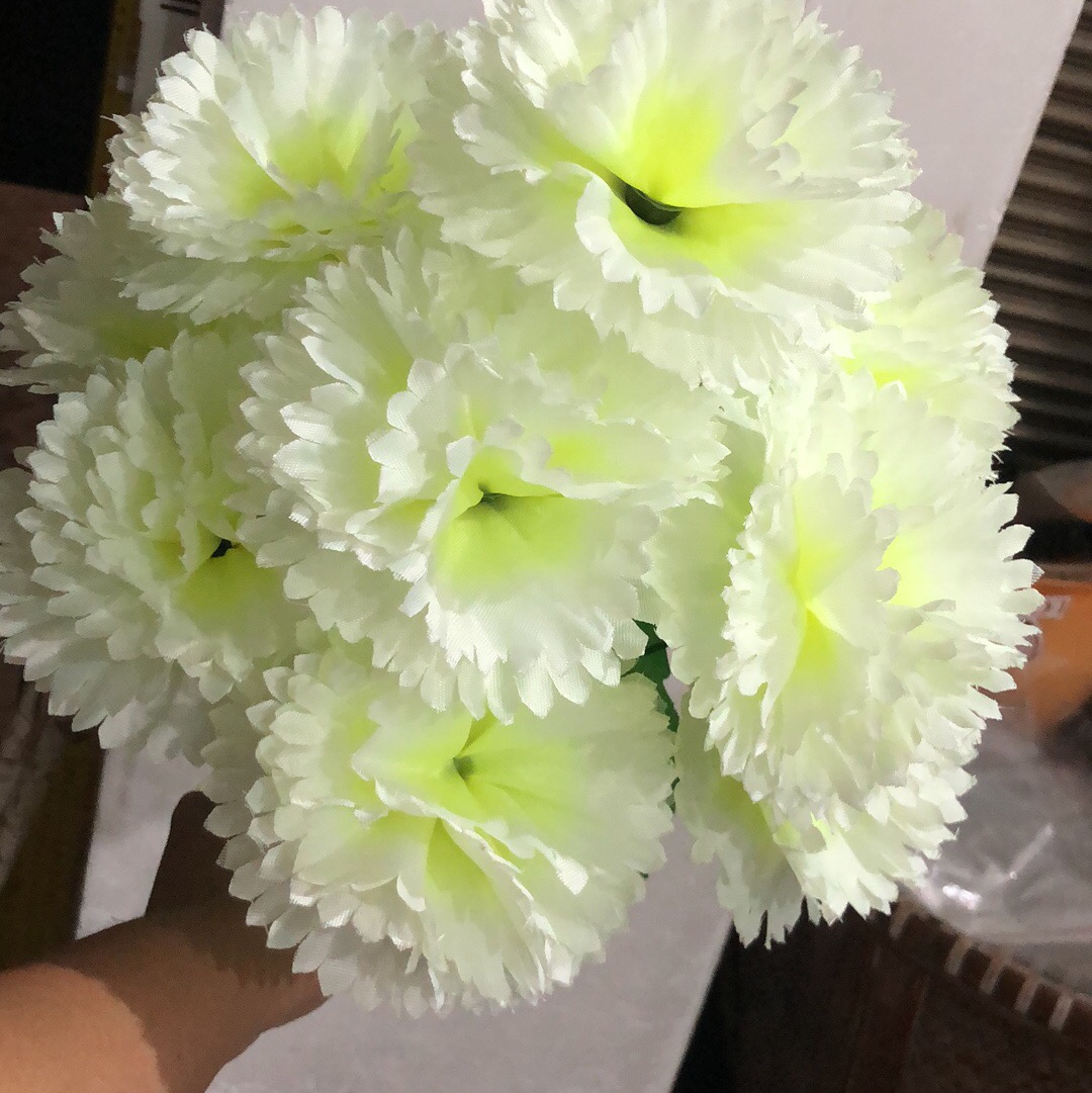 新丁香