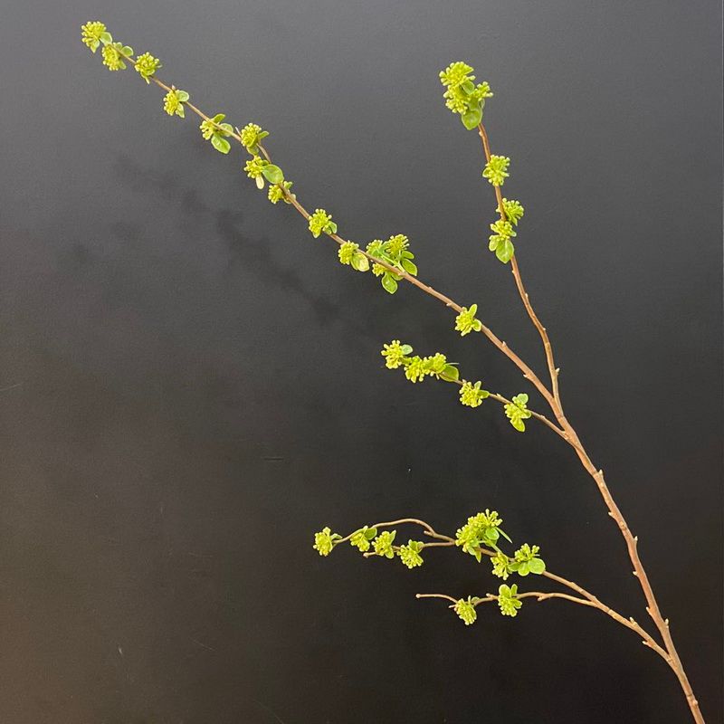 义乌好货仿真植物厂家直销小豆果枝家居装饰绿植客厅花艺配材细节图