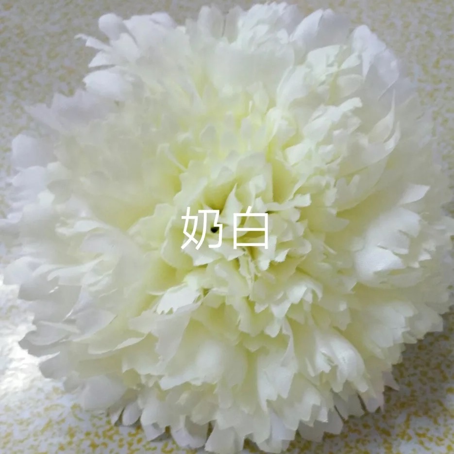 "Big Dingxiang 3