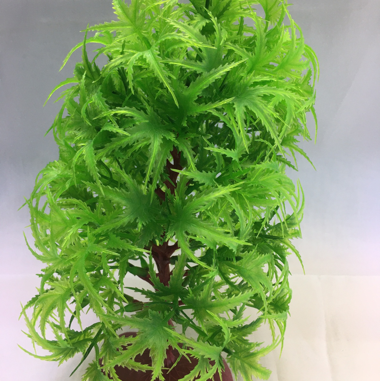 仿真植物 绿植桌面摆件 家居场景摆件 婚庆摆件配件 心理沙盘模型教学 仿真水草水族植物