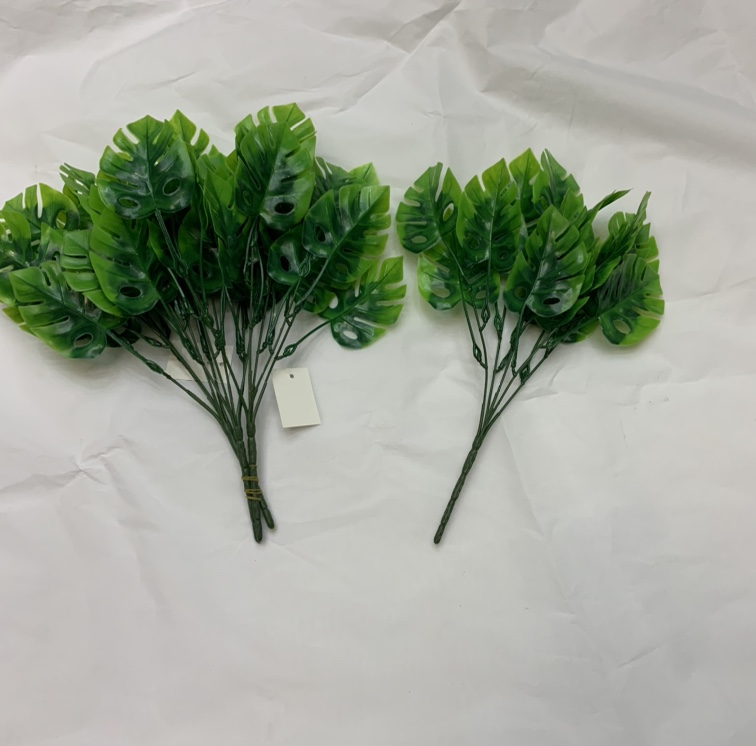 Five turtle-back leaves