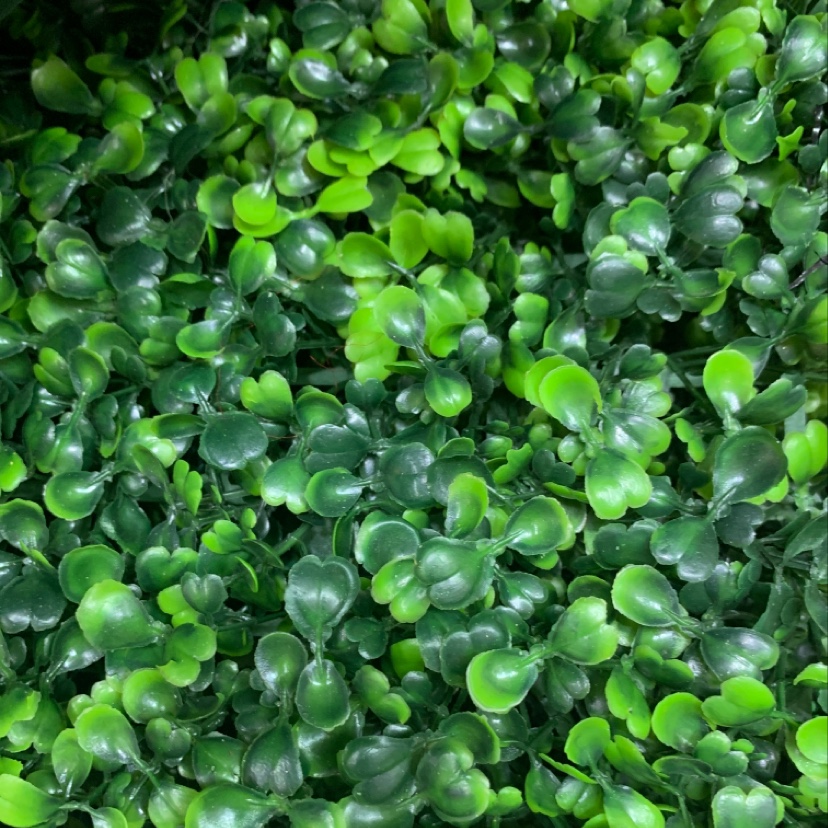 仿真草坪/假草坪/室内装饰植物墙草坪产品图