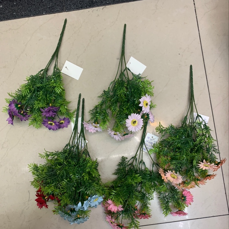 5 Heads Of Dutch Chrysanthemum details Picture