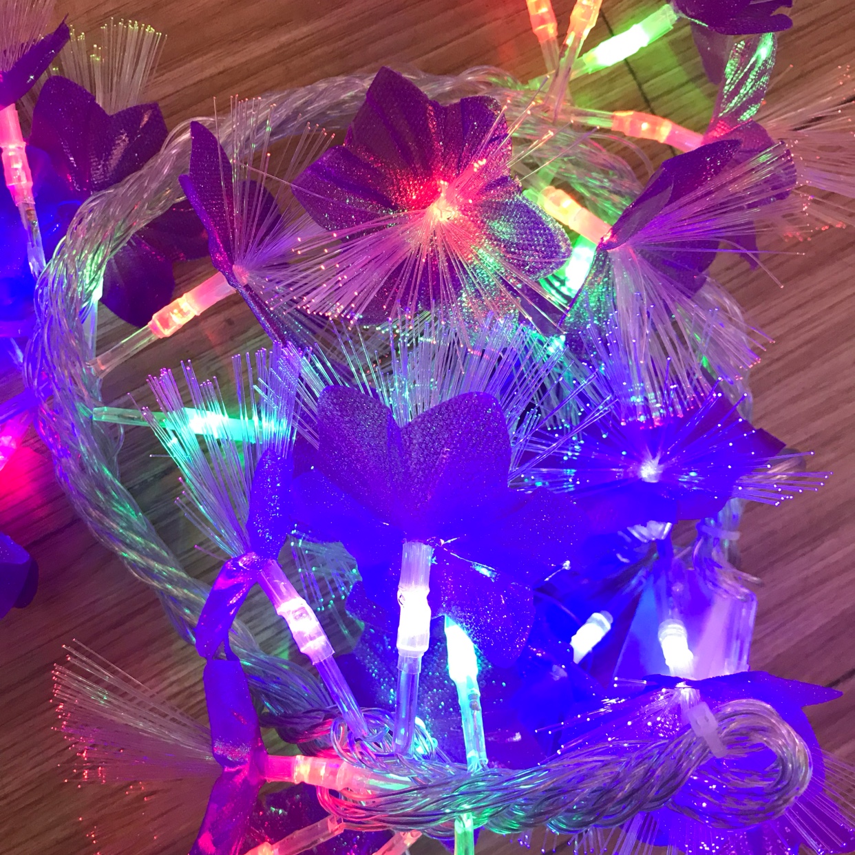 Fiber Optic Light Item Picture