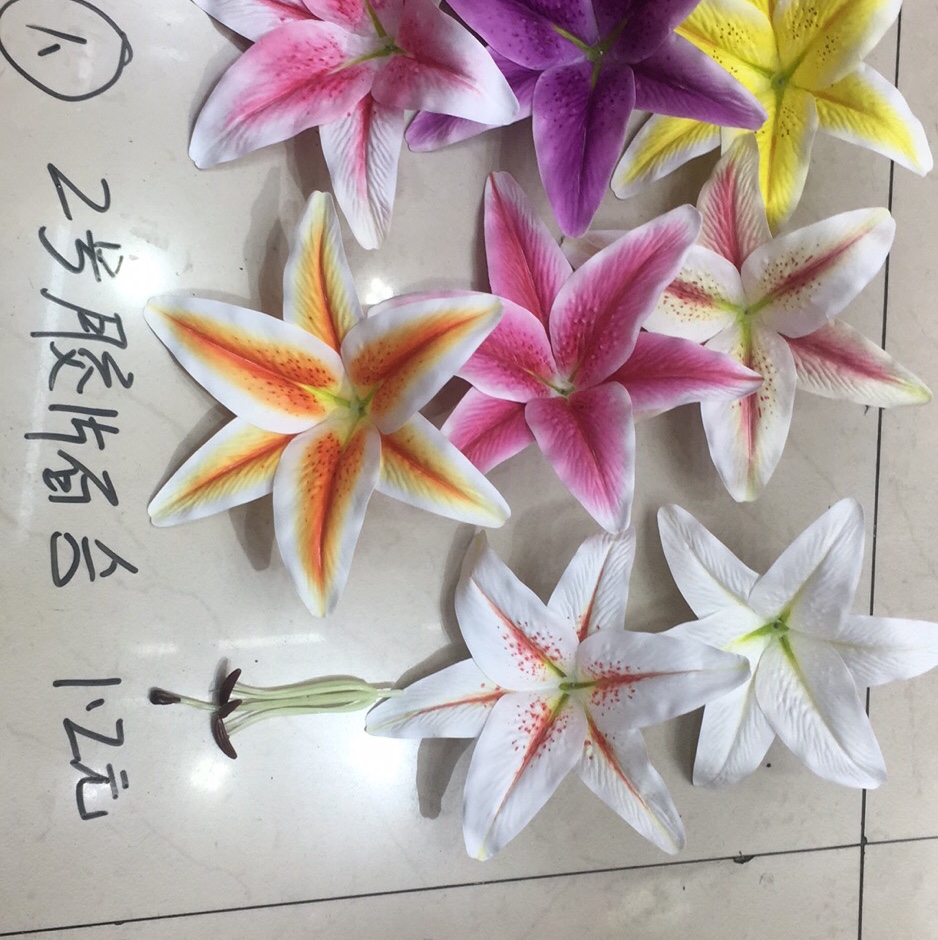 Film Number Two Lily details Picture