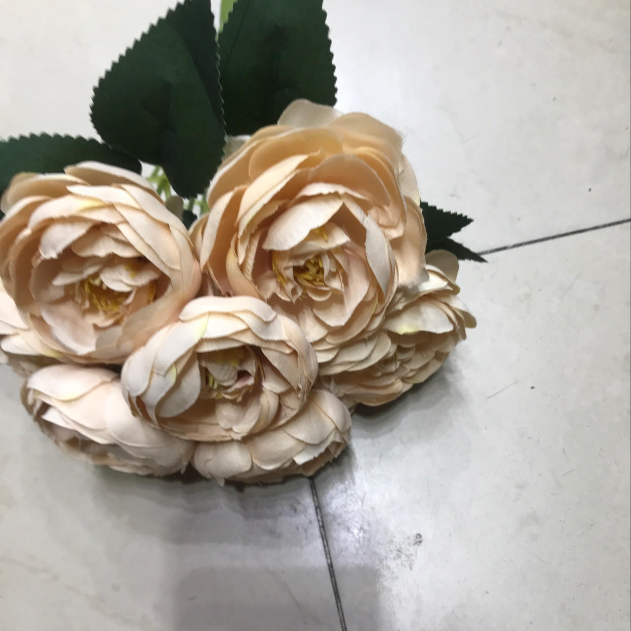 茶花
