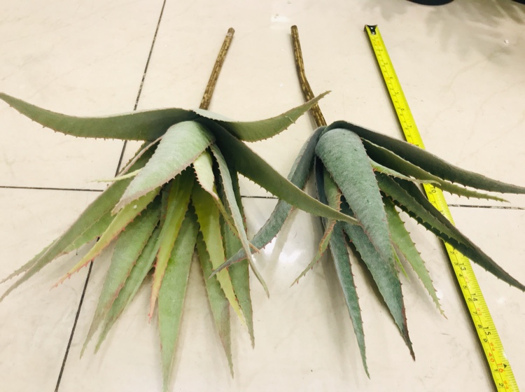 Planta de simulación