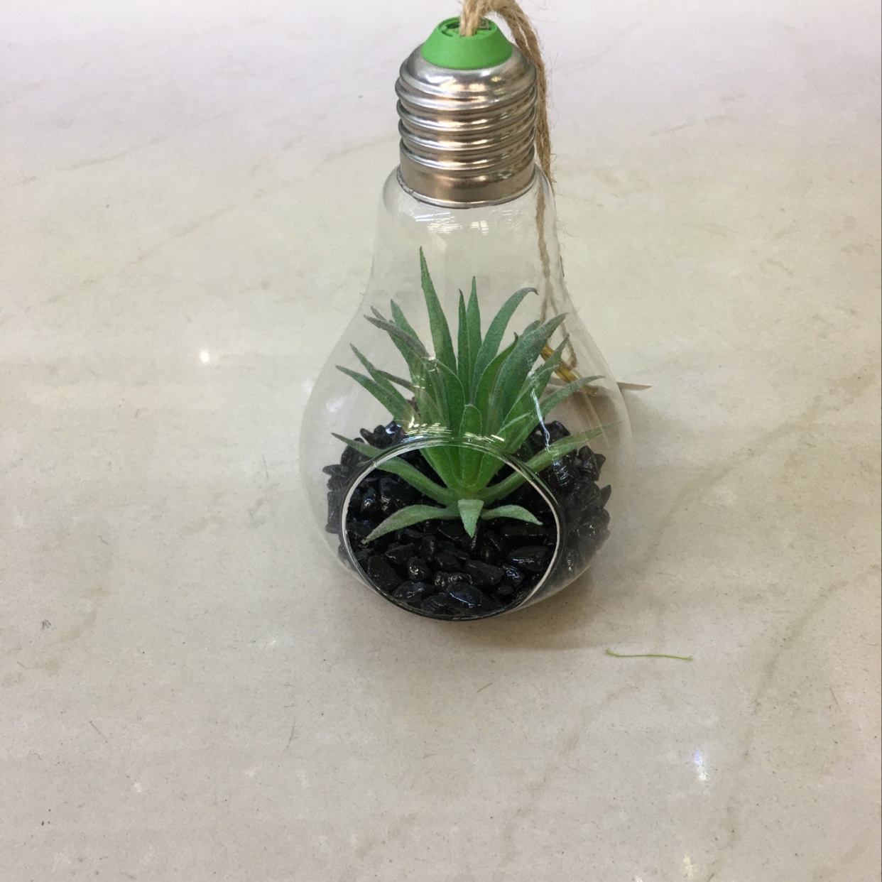 仿真多肉 植物玻璃景观 微景观摆件 家居摆放件 房间装饰挂件