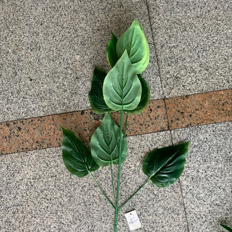 C4-9 details Picture