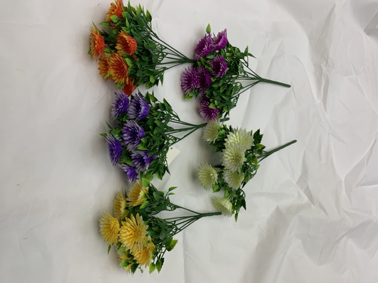 7 Forks Dahlias