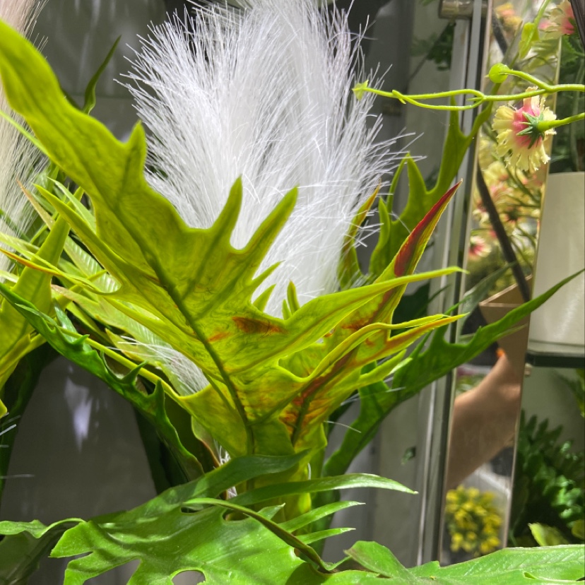 新铁