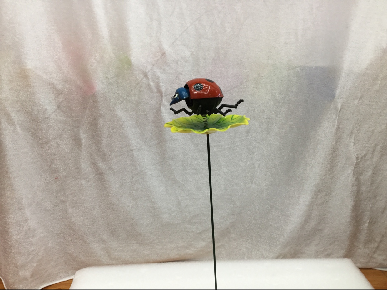 Lotus leaf beetle thumbnail