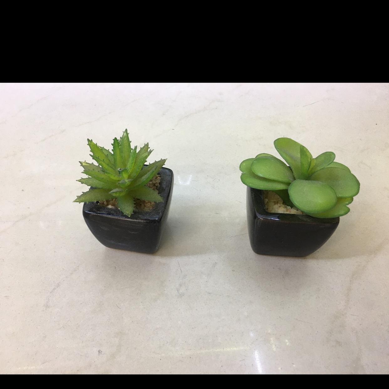 仿真多肉植物陶瓷景观 微景观摆件 家居摆放件