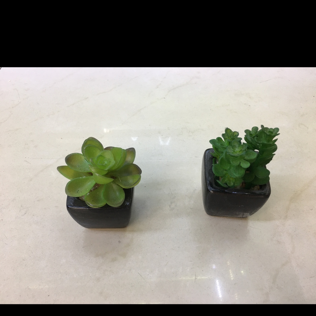 仿真多肉植物 陶瓷景观 微景观摆件 家居摆放件