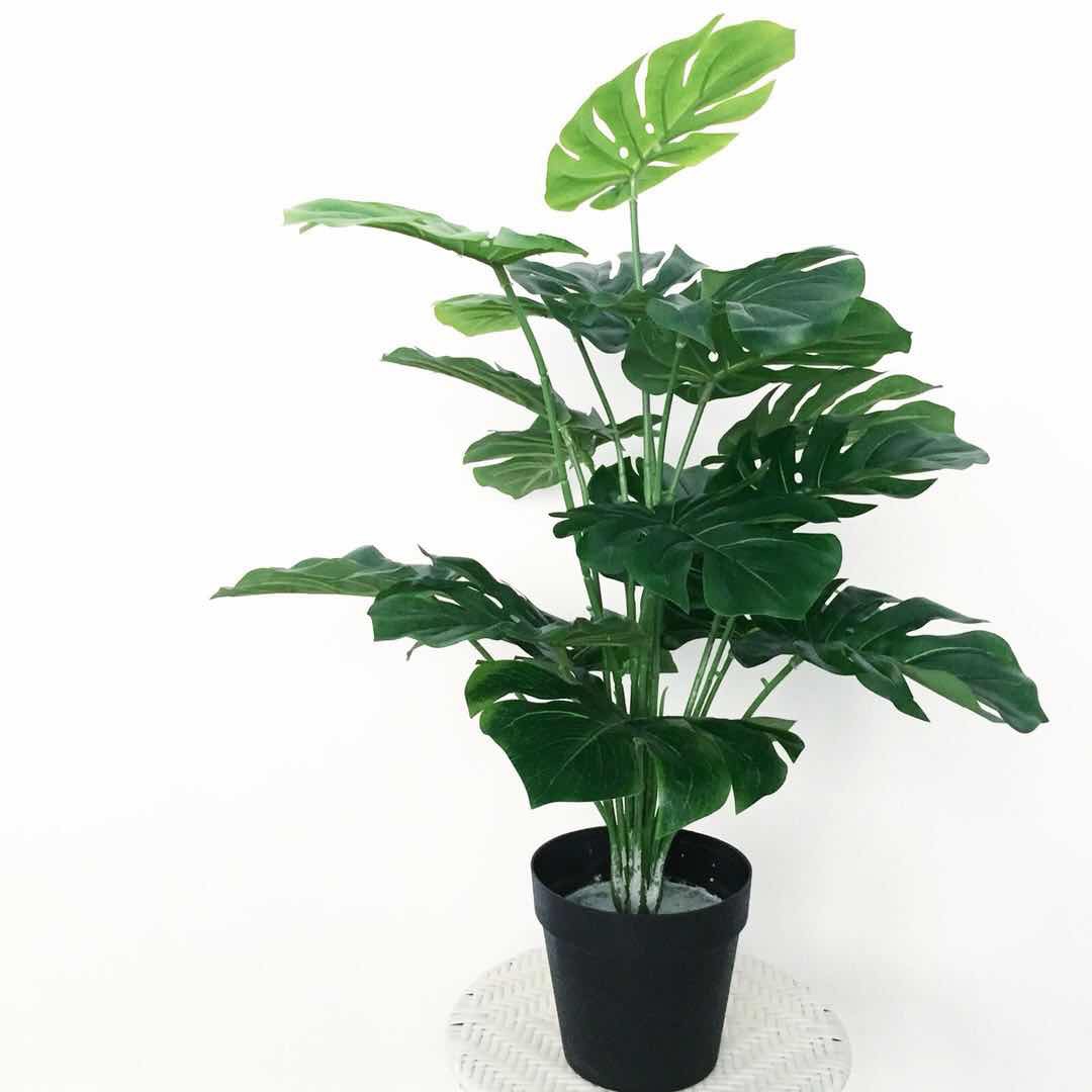 仿真植物