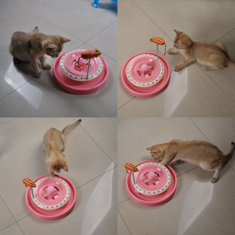 宠物用品猫玩具游乐盘转盘猫咪智力疯狂游乐盘宠物自嗨玩具详情图5