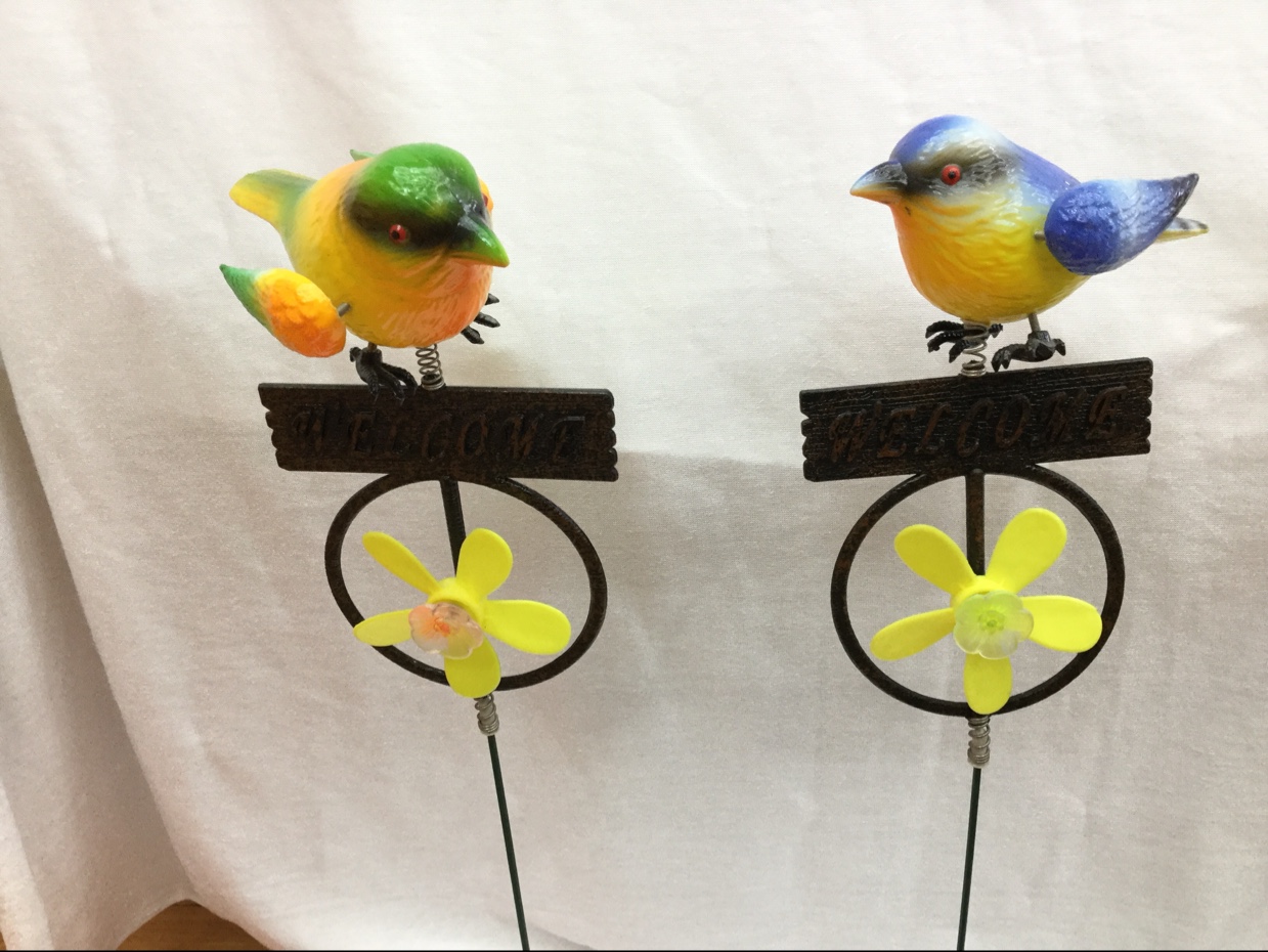 Welcome Pinwheel Magpie