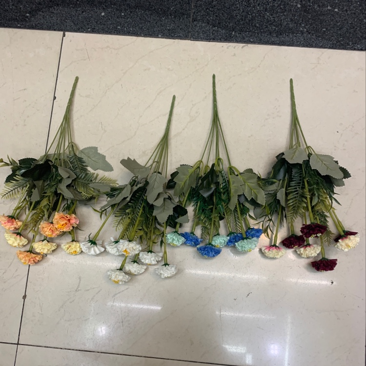 5 Carnations