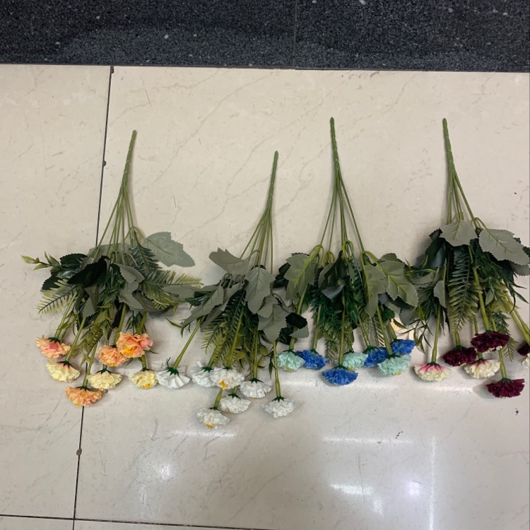 5 Carnations details Picture