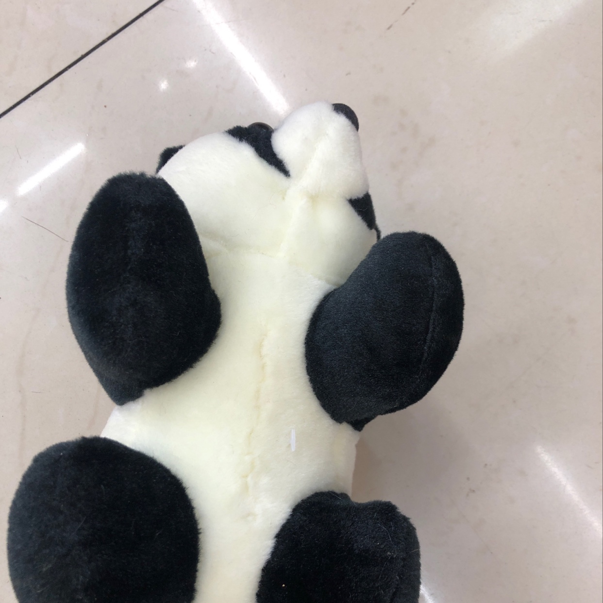 Panda details Picture