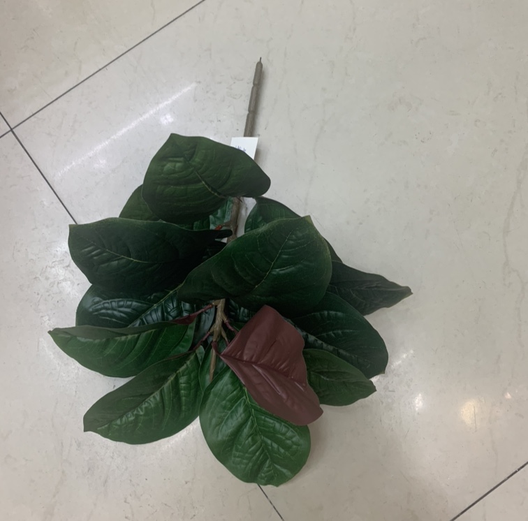 Banyan details Picture