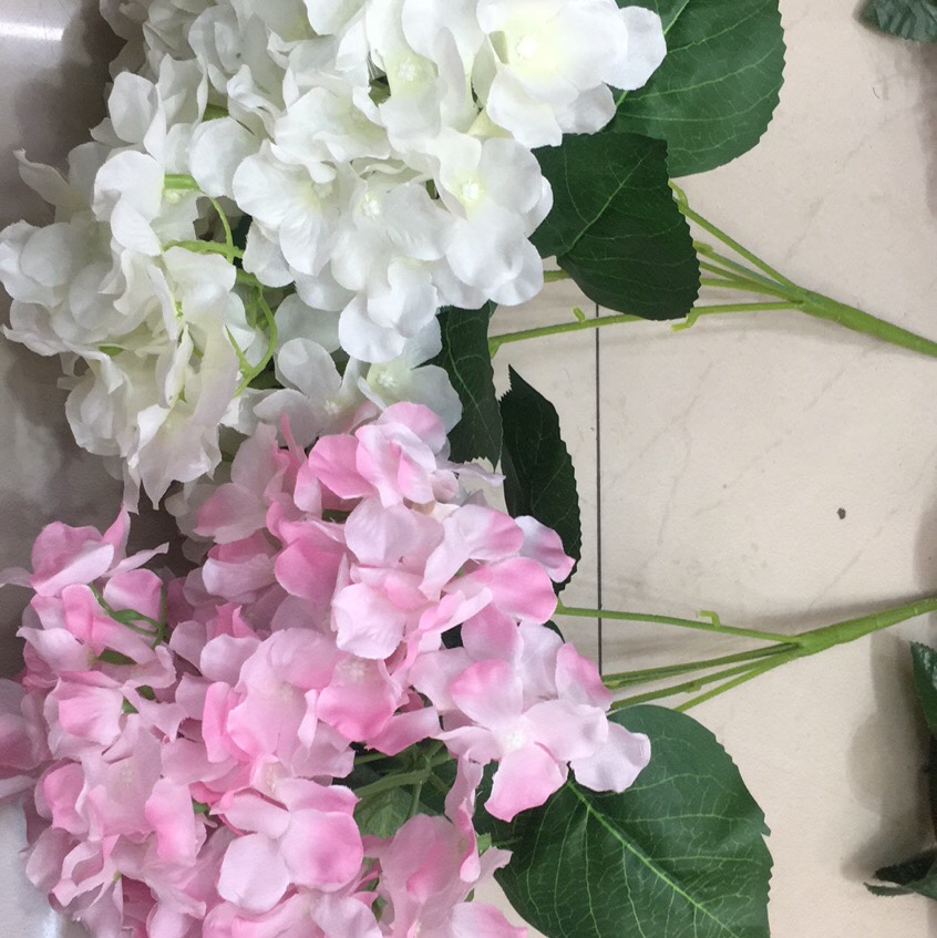 5 Head Hydrangeas details Picture