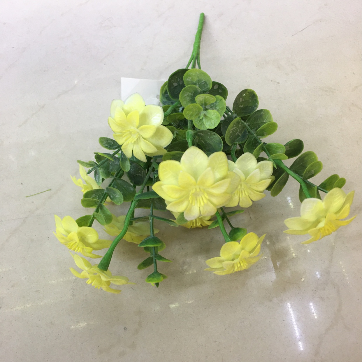 仿真桌面摆件/家居装饰植物/田园风植物白底实物图