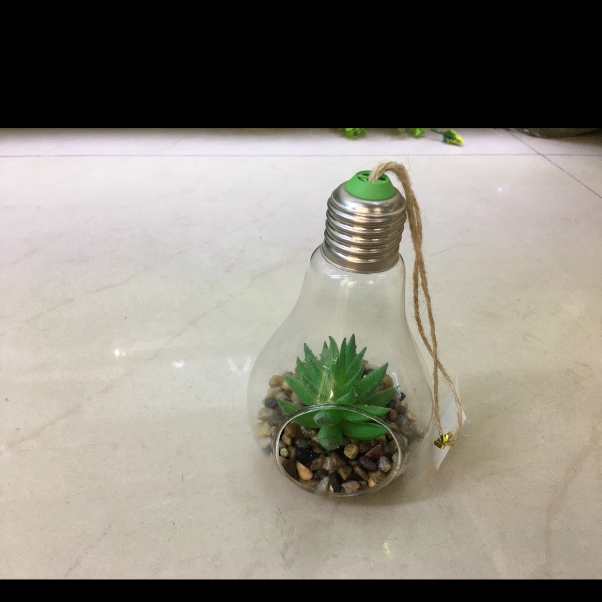 仿真多肉植物 玻璃景观 微景观摆件  家居摆放件 房间装饰挂件