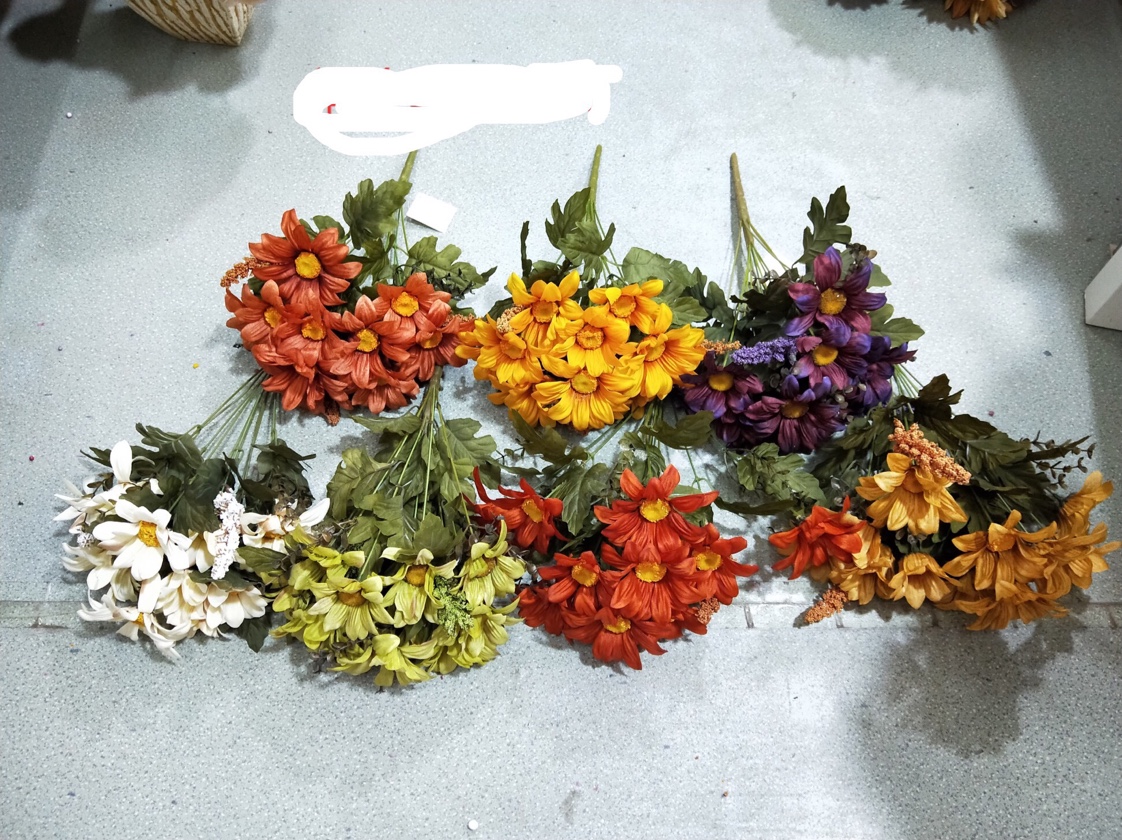 金钱菊