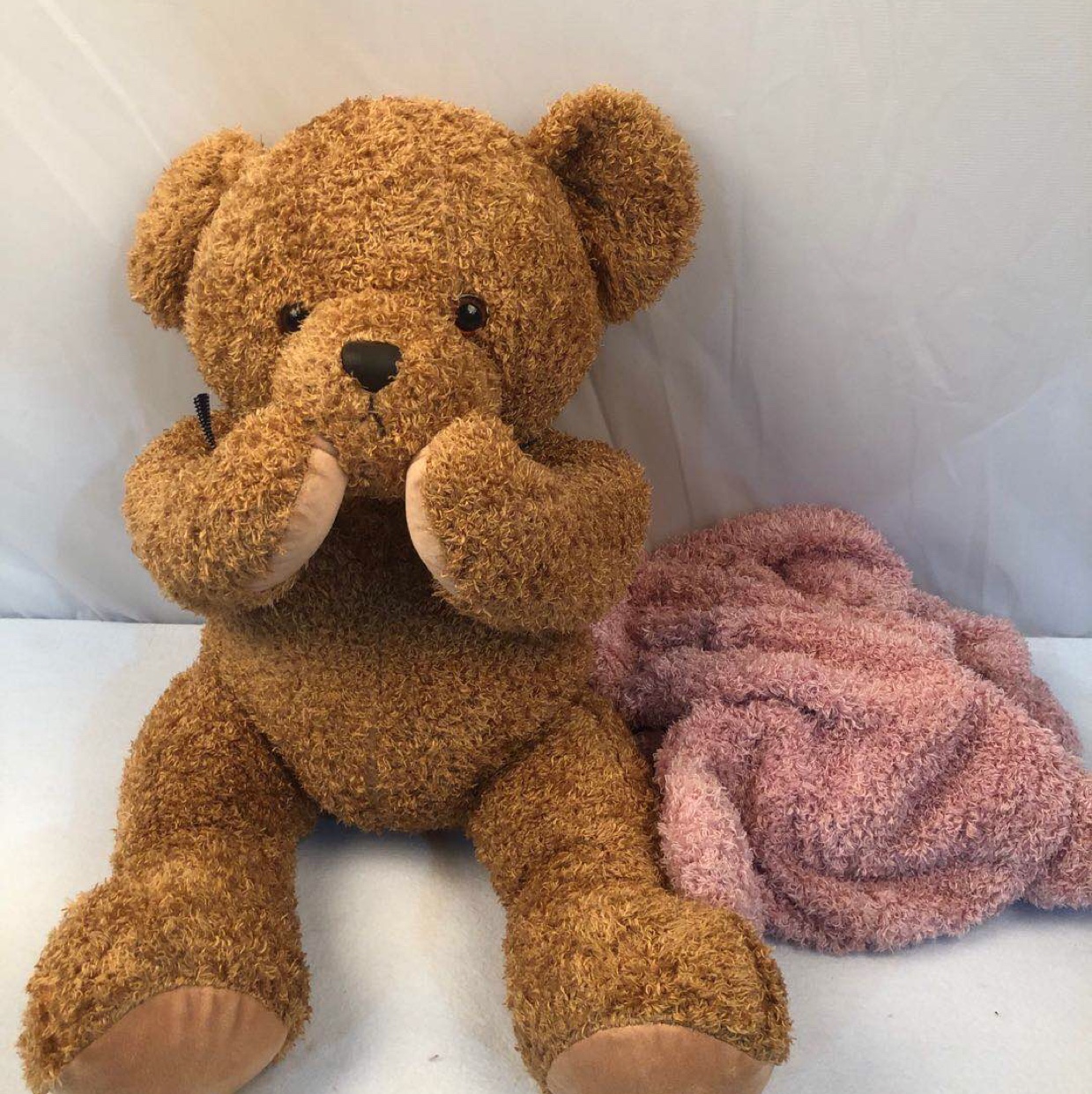 Three bears thumbnail