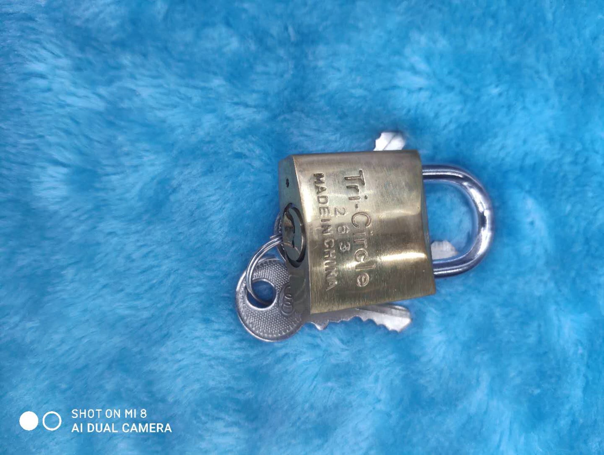 Yiwu buena carga cerradura candado de cobre 263 Specification image