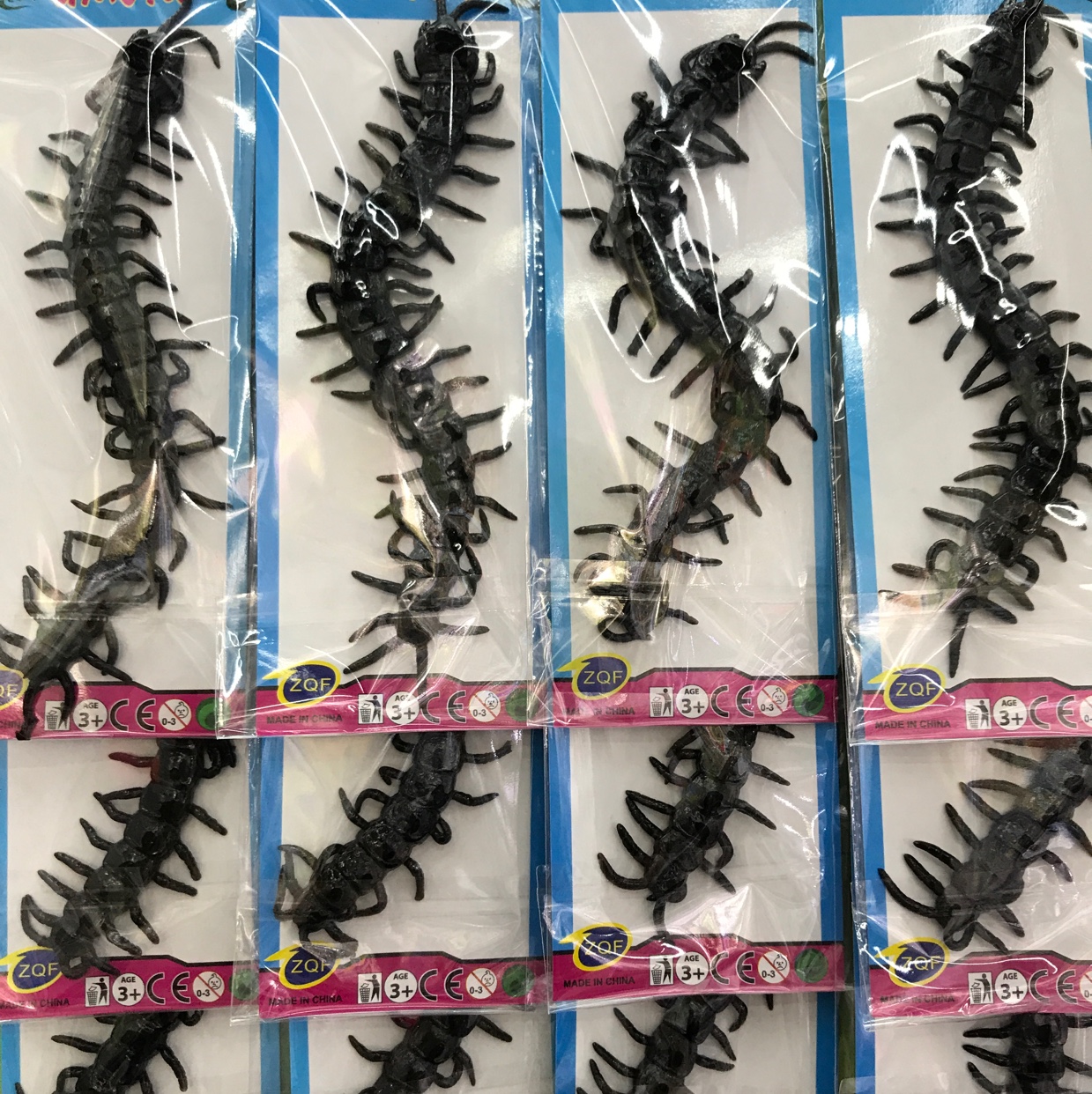 黑大蜈蚣
