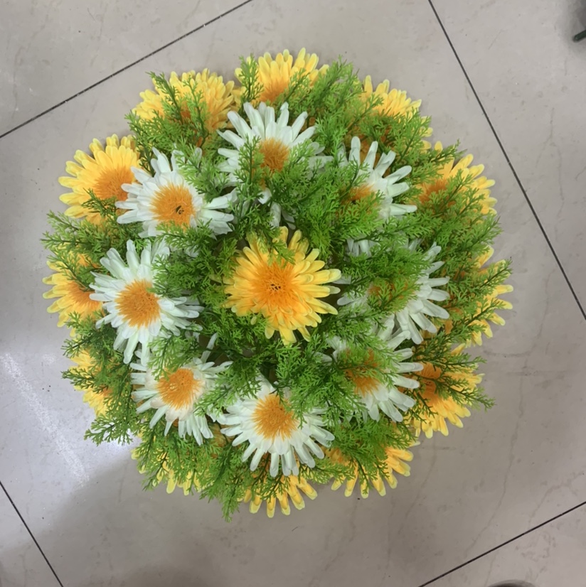 橘花