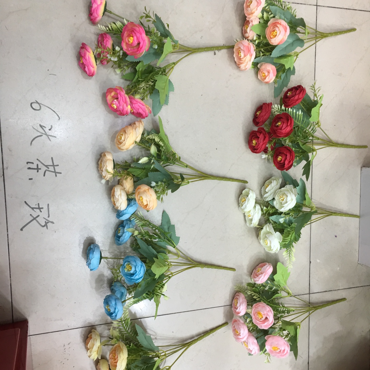 6头茶玫