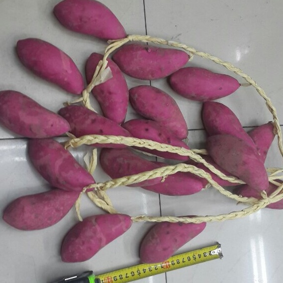 Simulated skewers, simulated fruit skewers, vegetable skewers, fruit skewers Item Picture