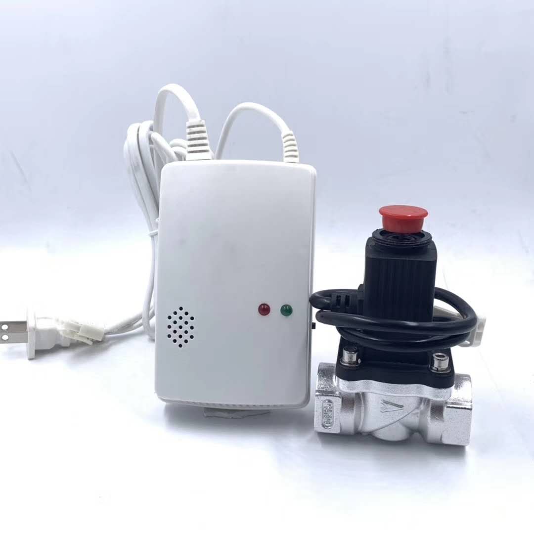 Natural gas leak-proof alarm device for kitchen