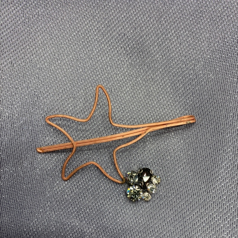 Starfish steel wire clip thumbnail