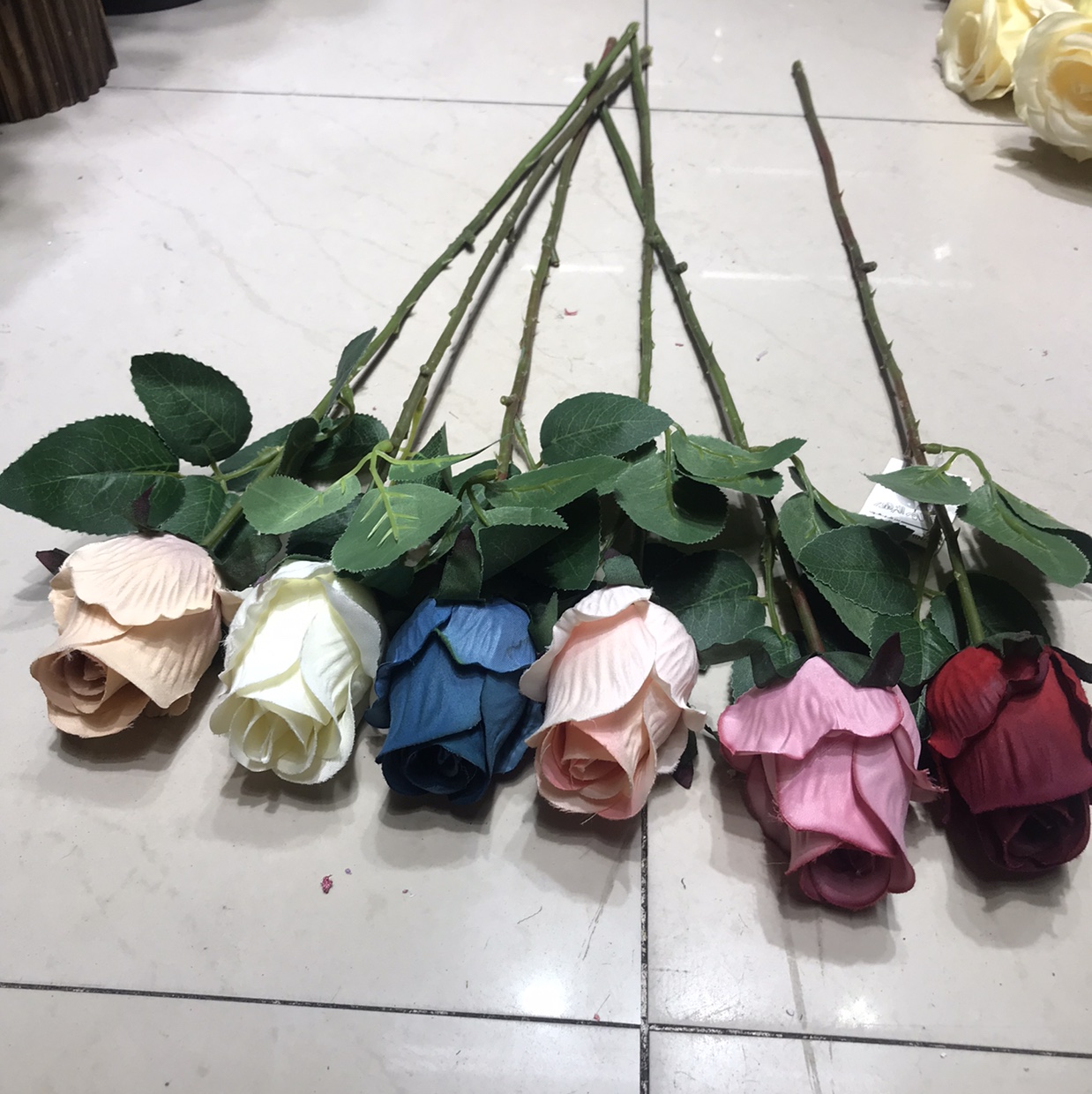 蕾