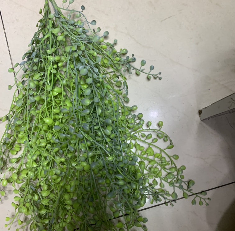 D53-0219 details Picture