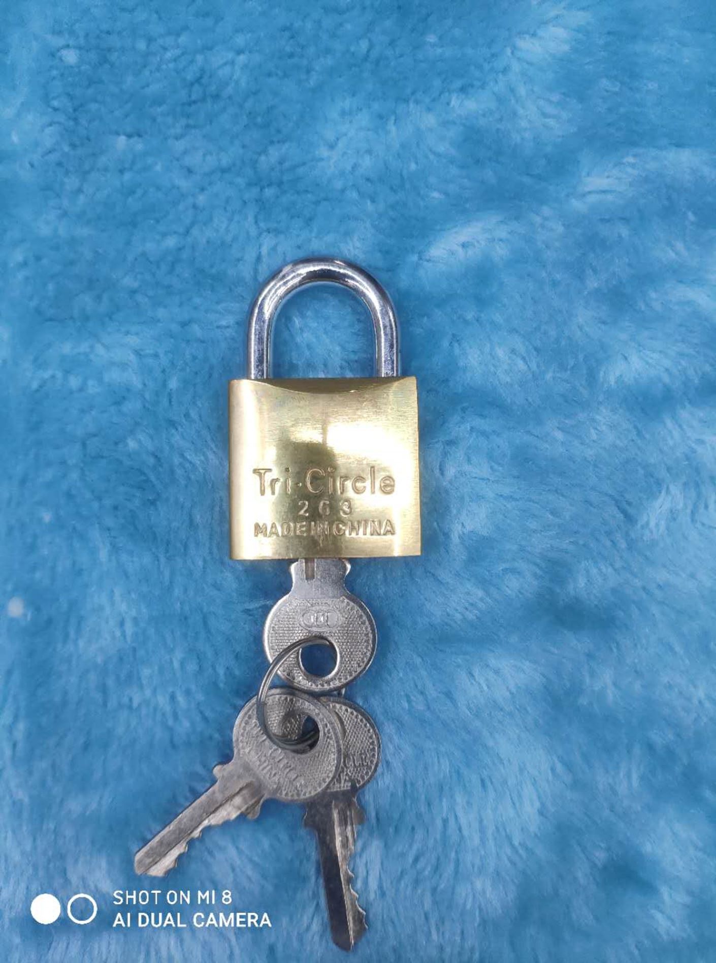 أقفال نحاسية، 263