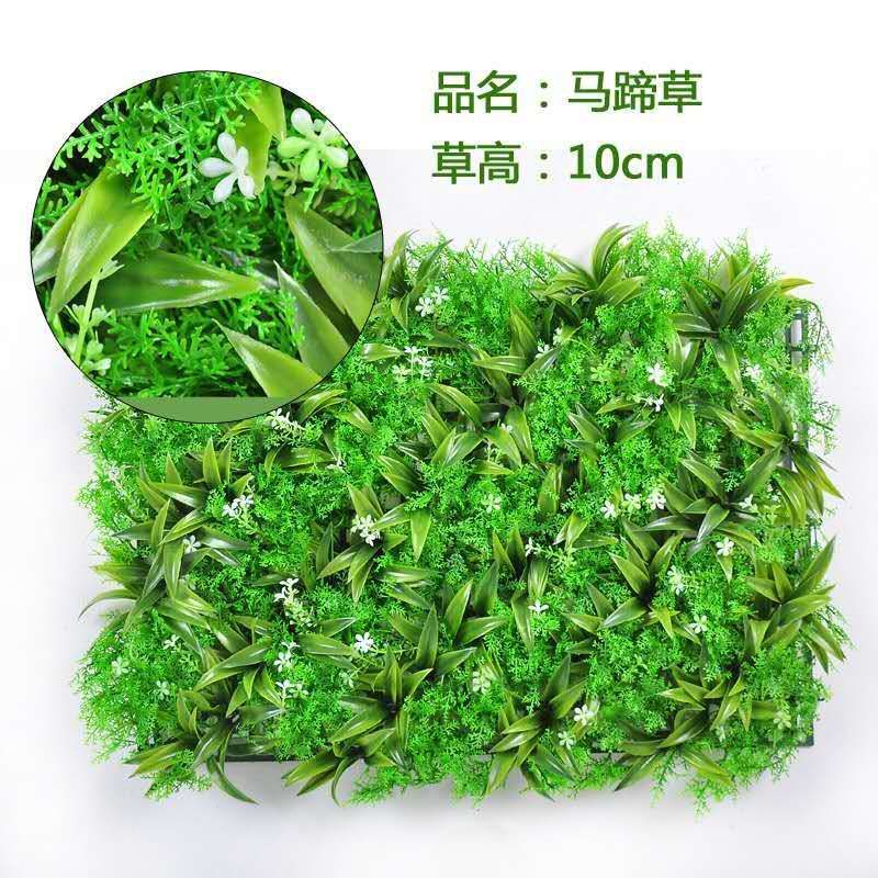 Horseshoe Grass